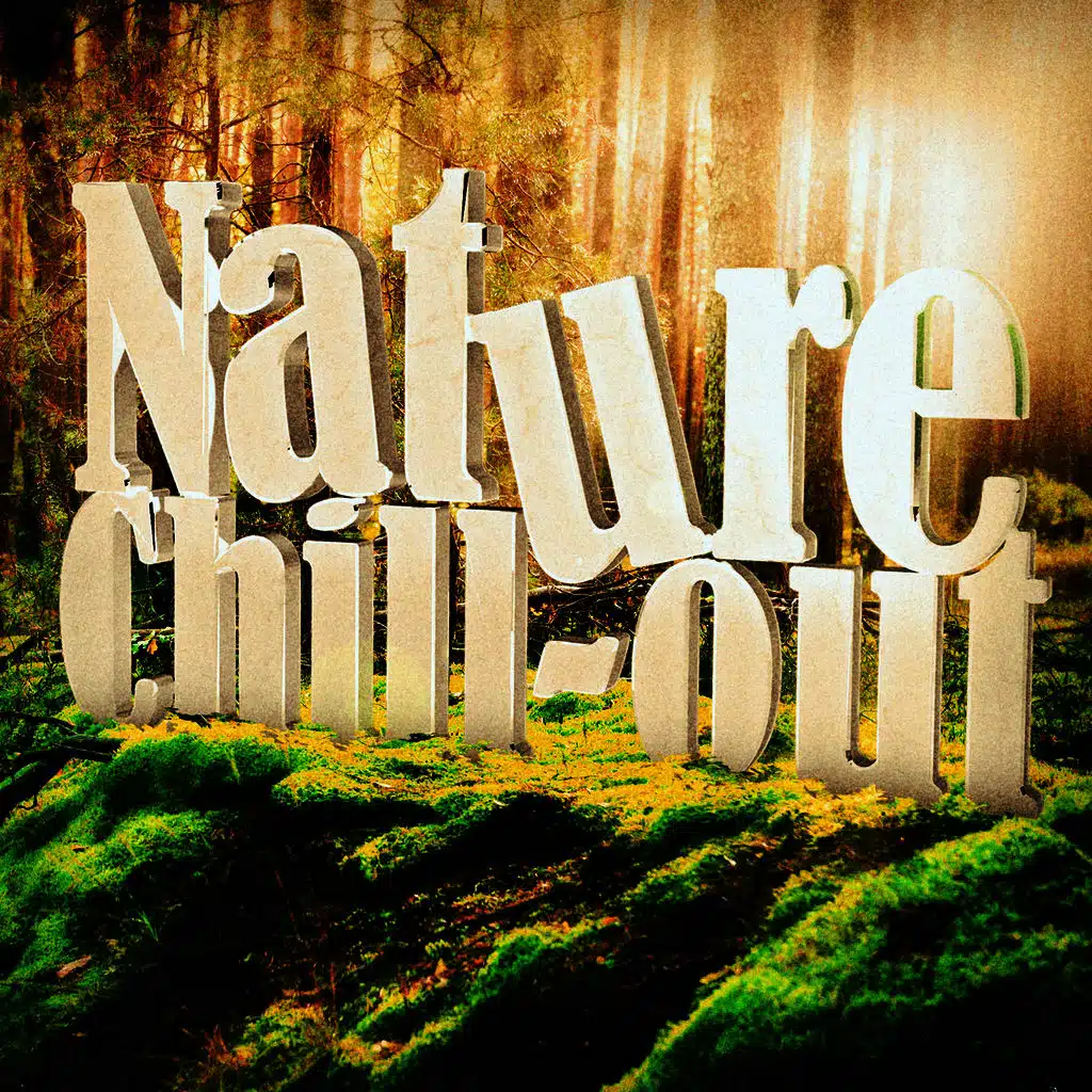 Sounds from the Sea 2: Backwash