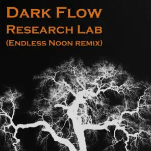 Research Lab (Endless Noon Remix)