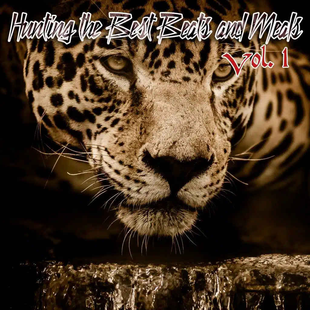 Translate Your Mind (Instrumental Backing Beat Collection Mix)