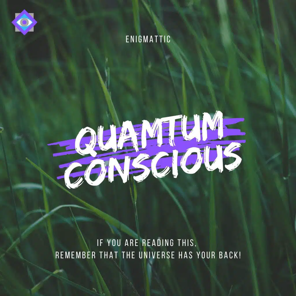 Quantum Conscious
