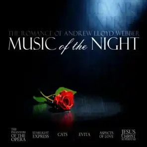 The Music of the Night (from "The Phantom of the Opera")