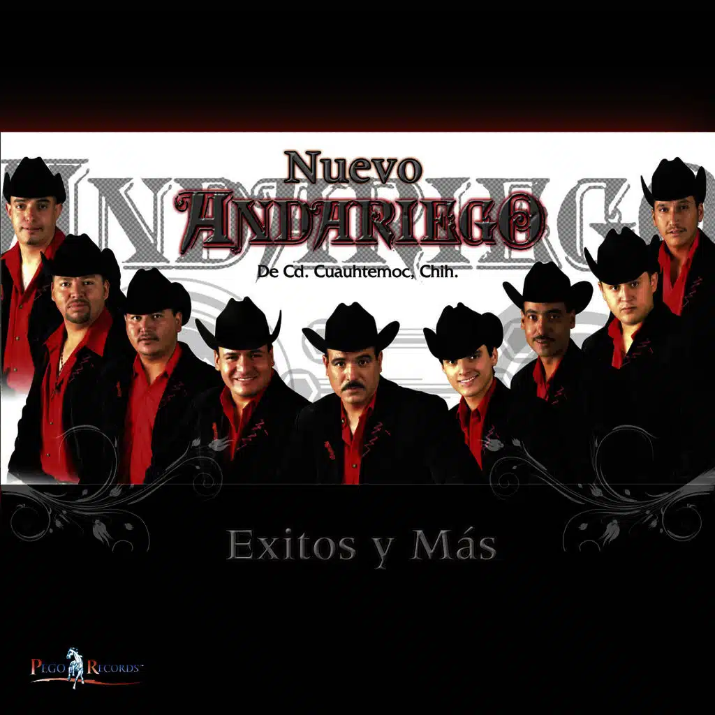 Exitos y Mas