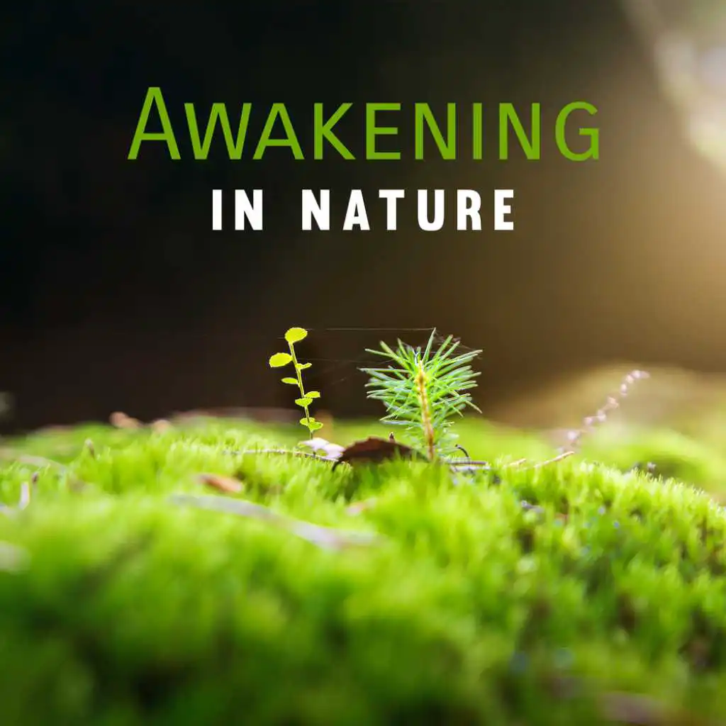 Awakening in Nature