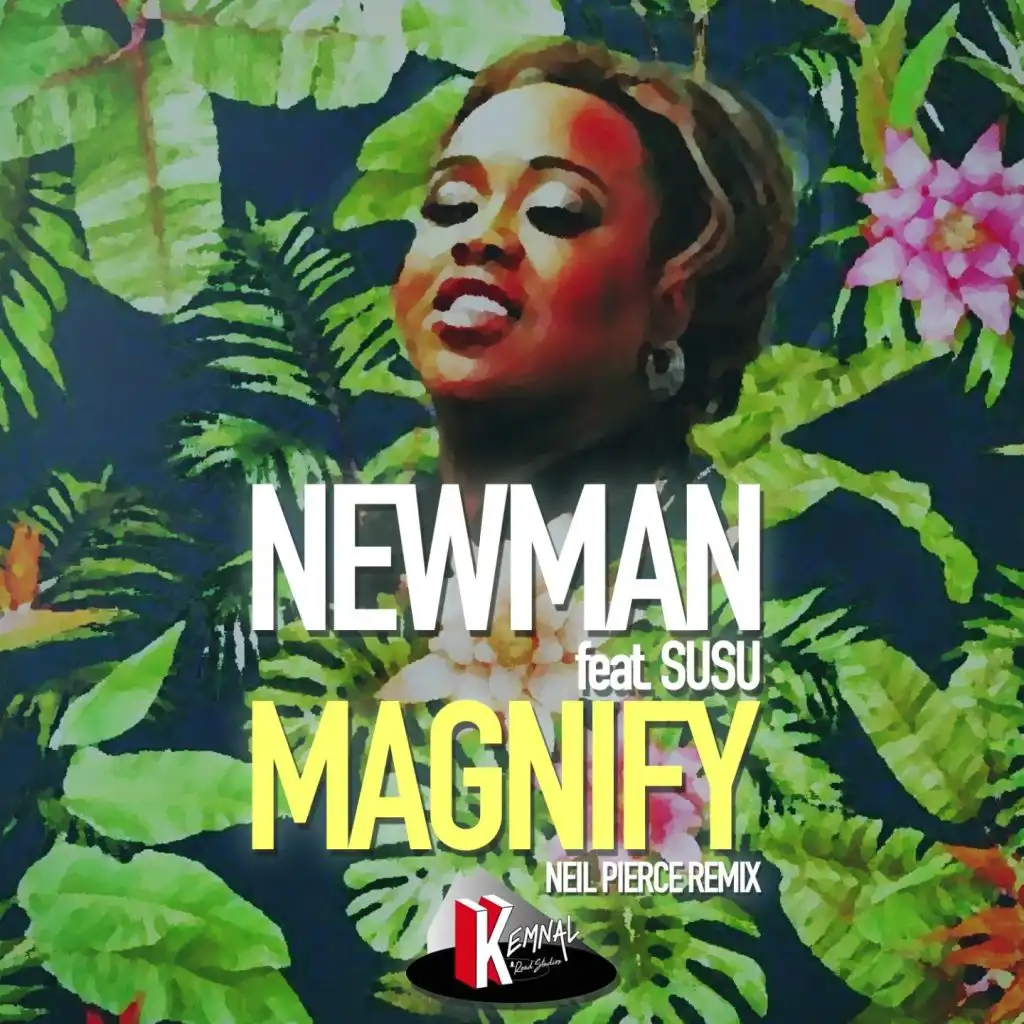 Magnify (Neil Pierce Remix) [feat. Susu]
