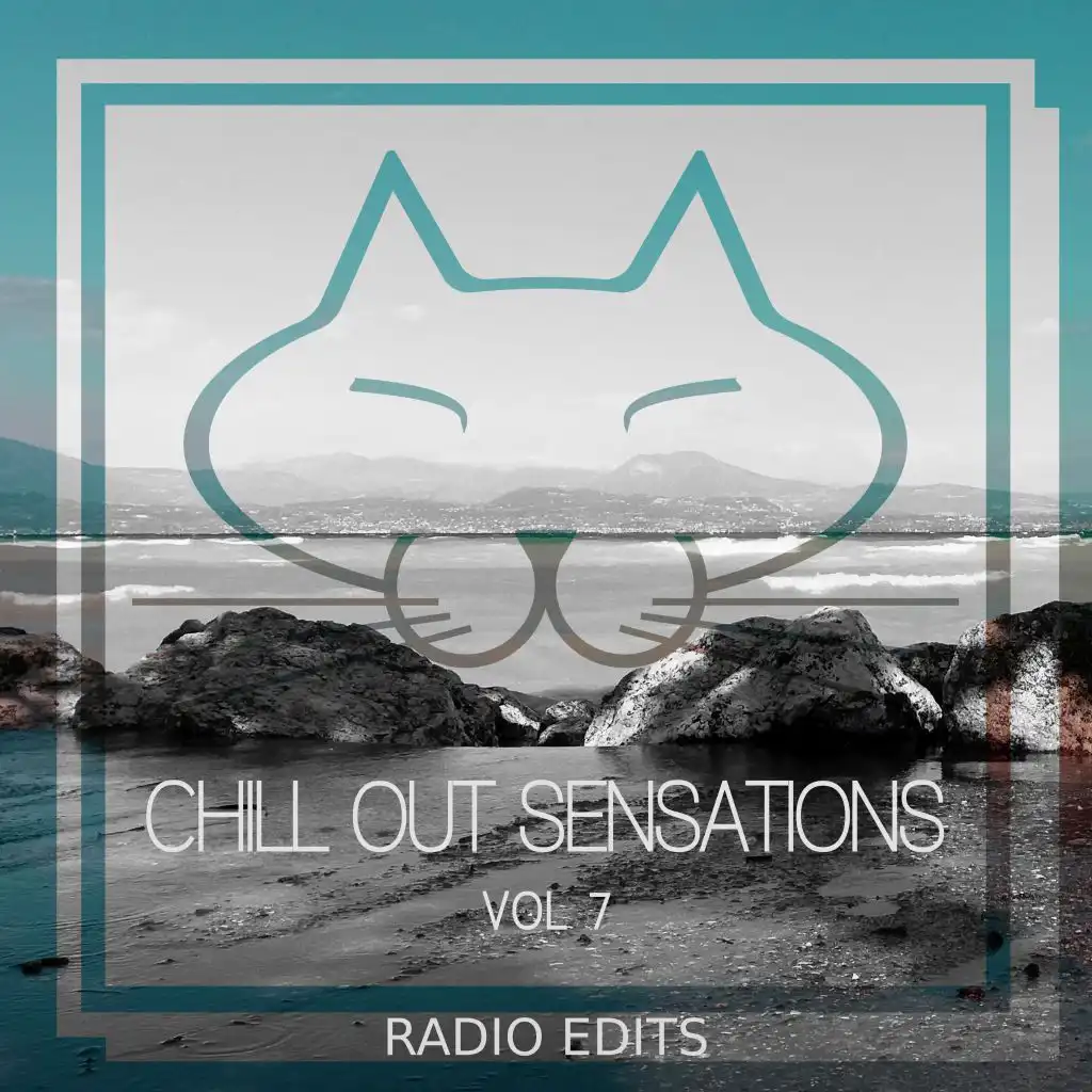 Chill out Sensations, Vol. 7 (Radio Edits)