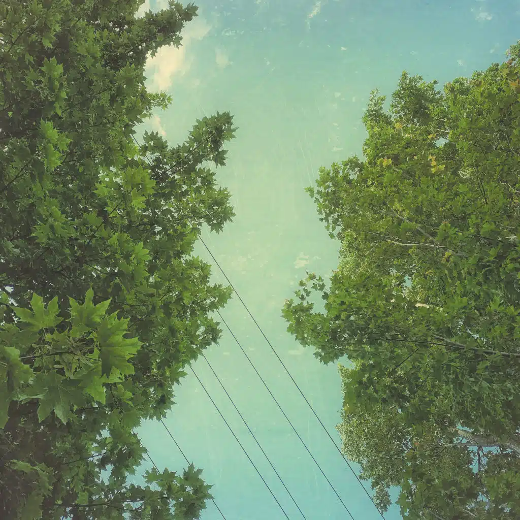 On Falling (feat. Marcus Fischer)