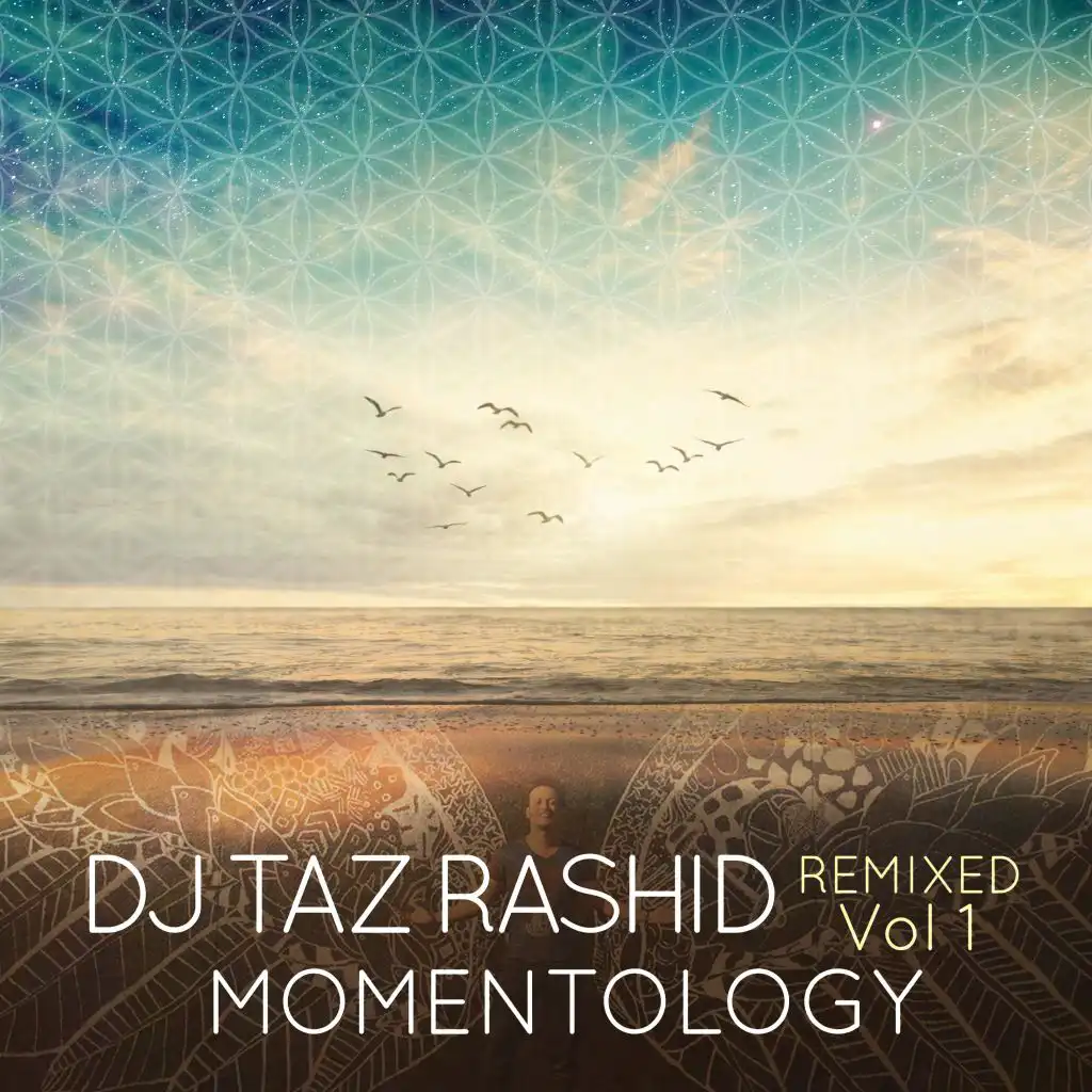 DJ Taz Rashid Remixed Vol 1: Momentology