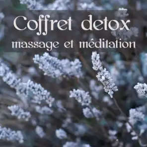 Coffret detox massage et méditation: Musique d'ambiance pour les traitements de beauté