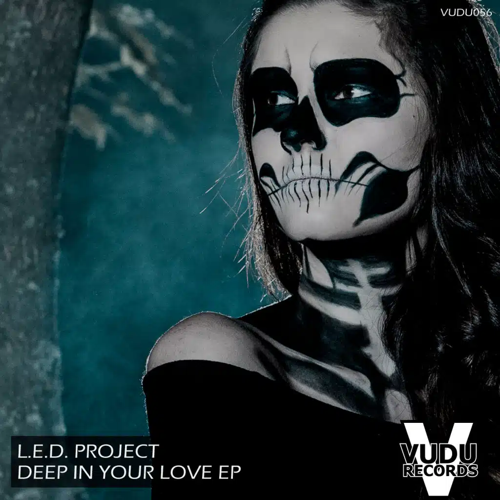 L.E.D Project