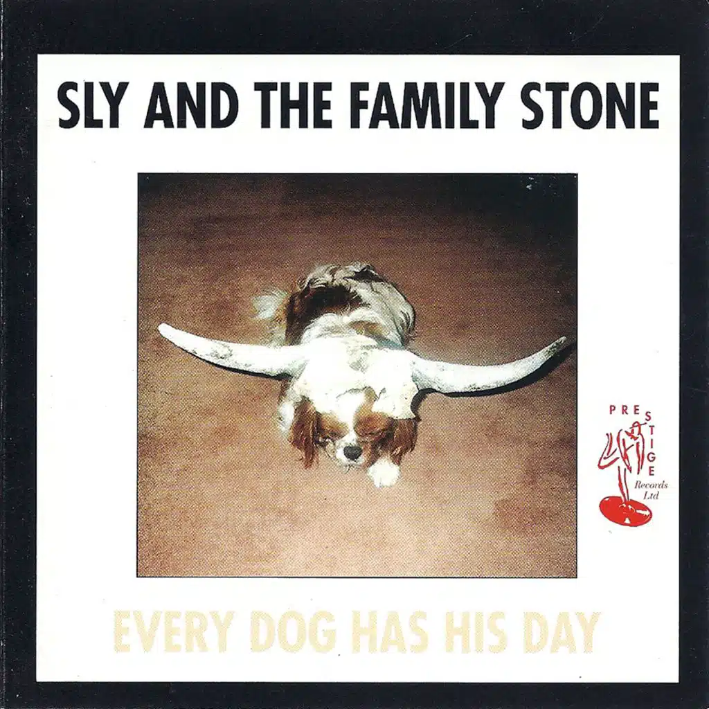 Every Dog Has His Day