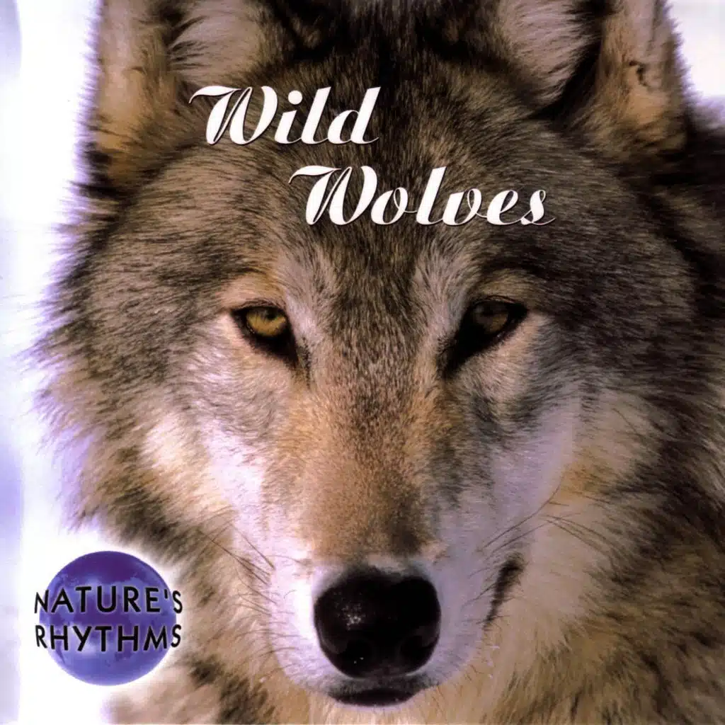 Wild Wolves