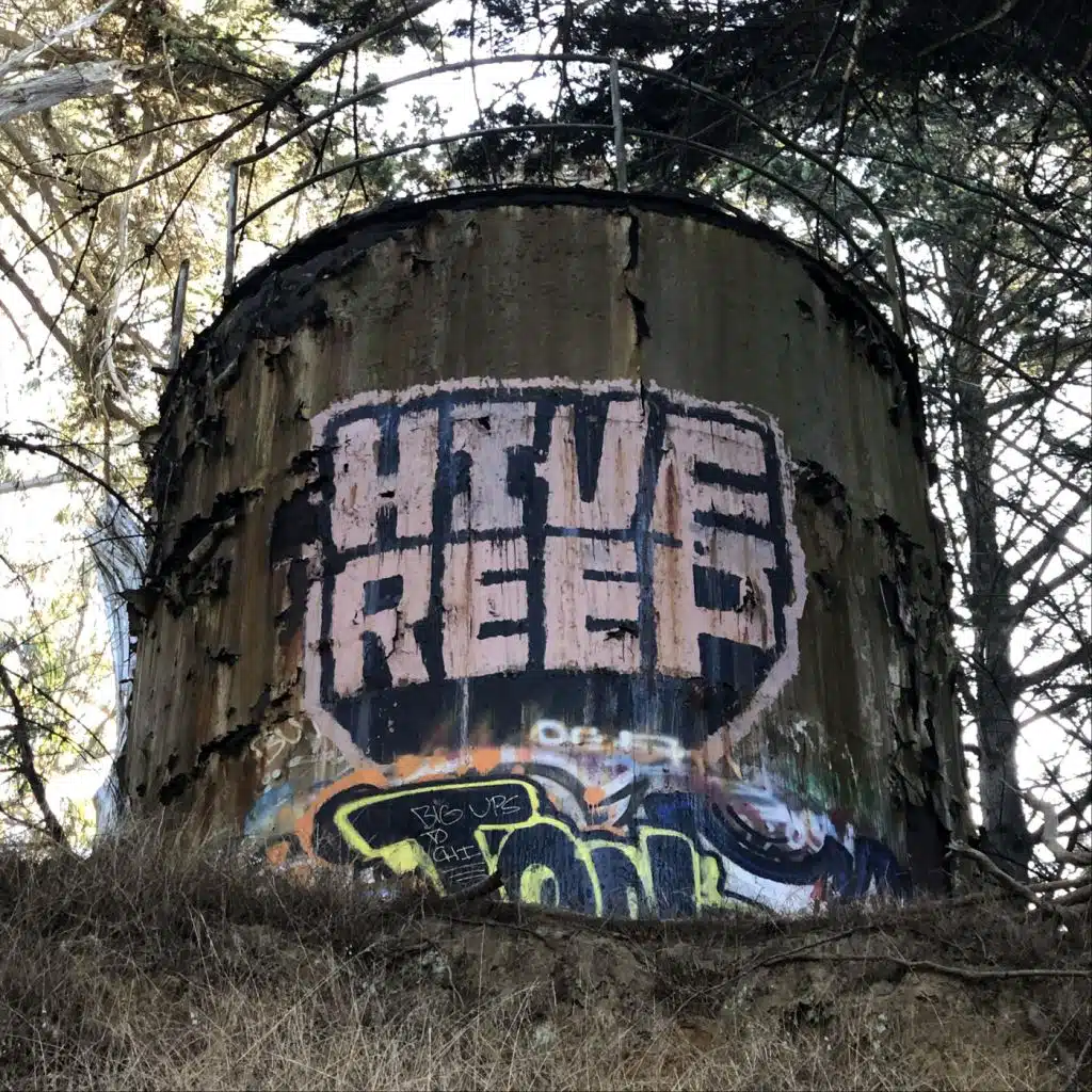 Dragons Enter the 36th Chamber