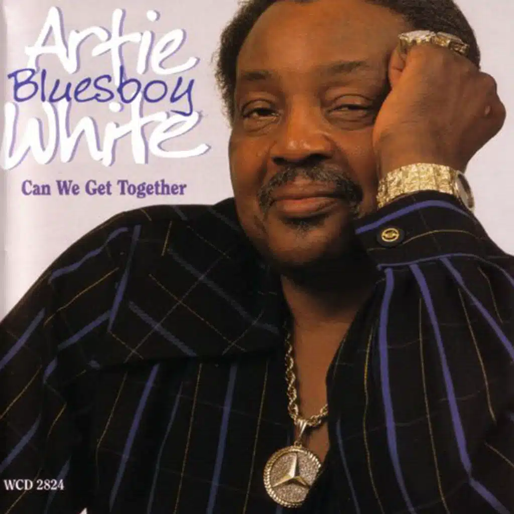 Artie "Blues Boy" White