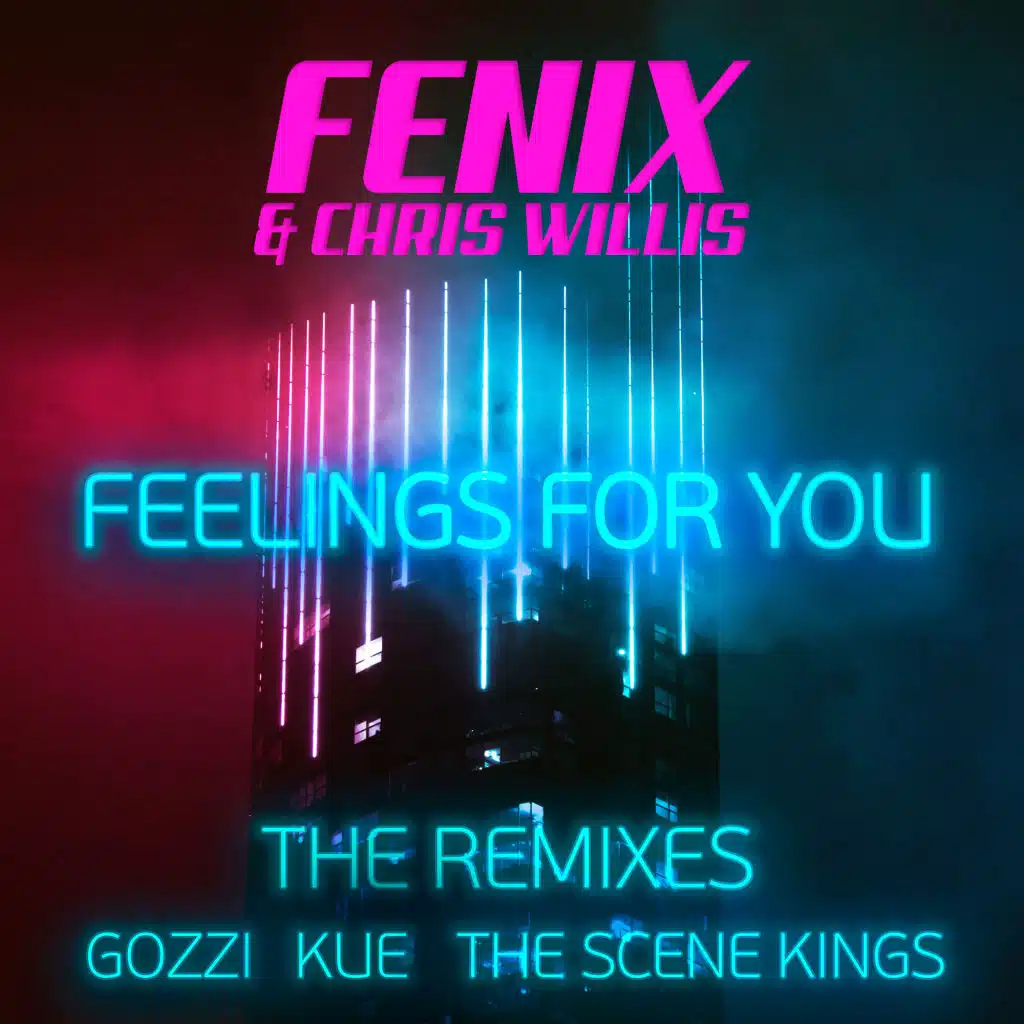 Feelings for you (Remixes)