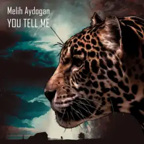 You Tell Me (Melih Aydogan remix)