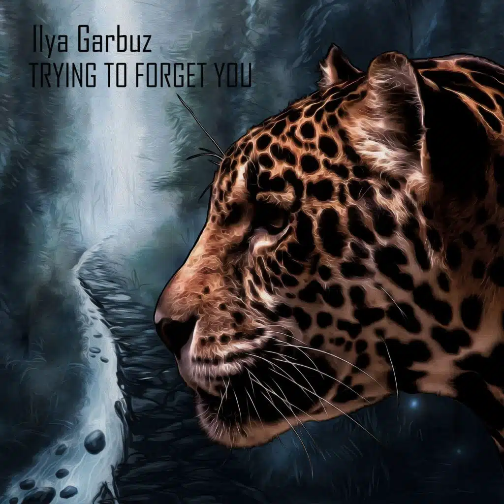 Trying To Forget You (Ilya Garbuz remix)