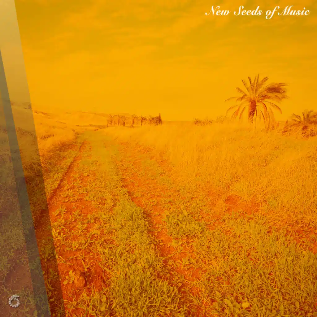 New Seeds of Music