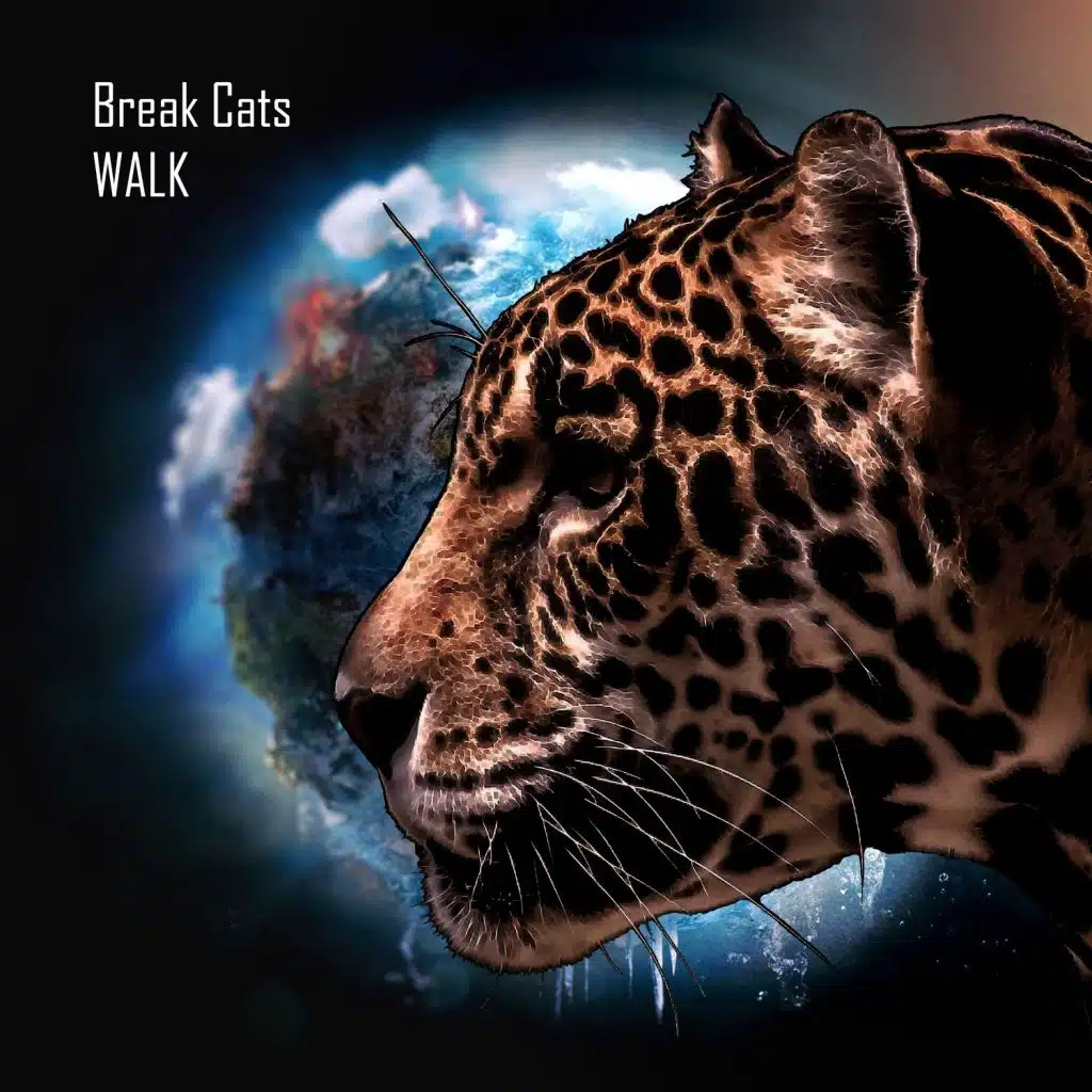 Walk (Break Cats remix)