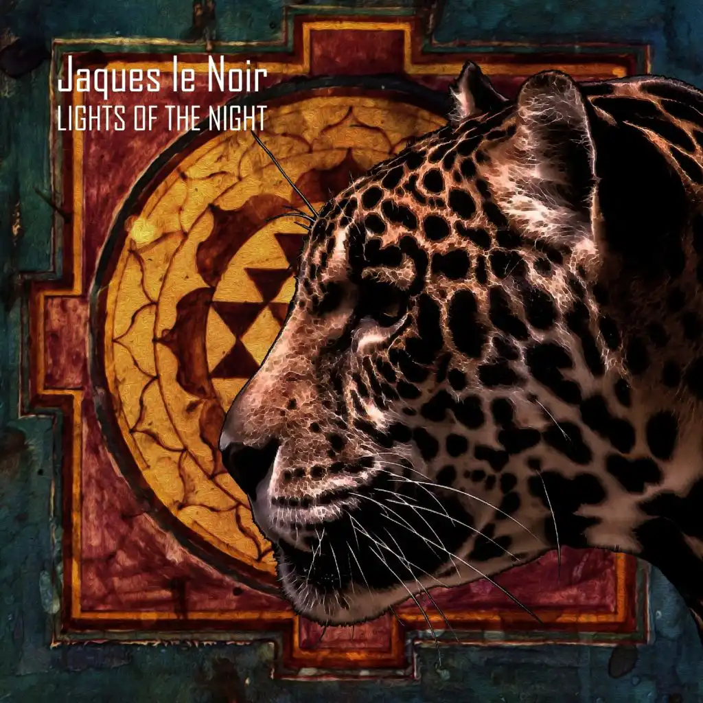 Turn Off The Light (Jaques Le Noir remix)