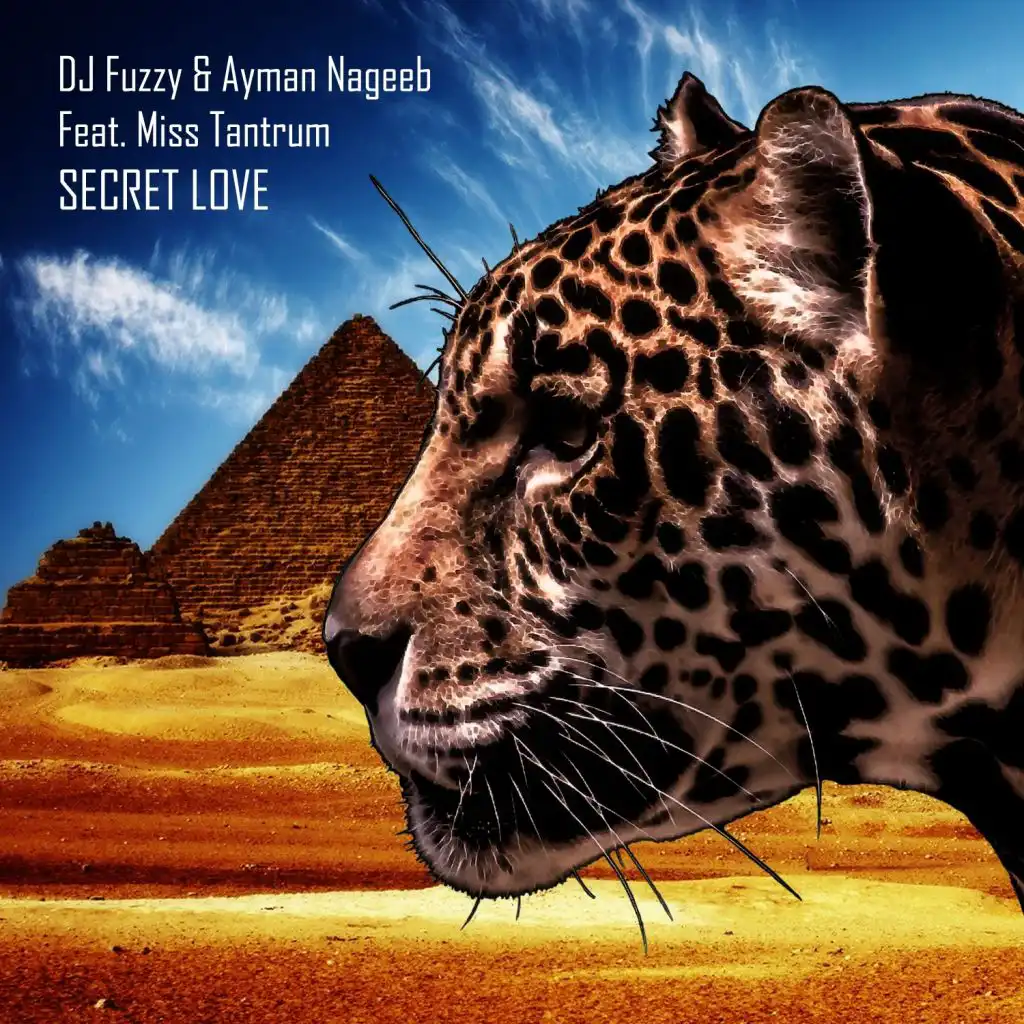 Secret Love (DJ Fuzzy, Ayman Nageeb and Miss Tantrum remix)