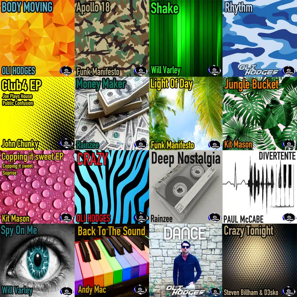 13 Records Ibiza 2019 Album