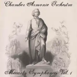 Chamber Armonie Orchestra