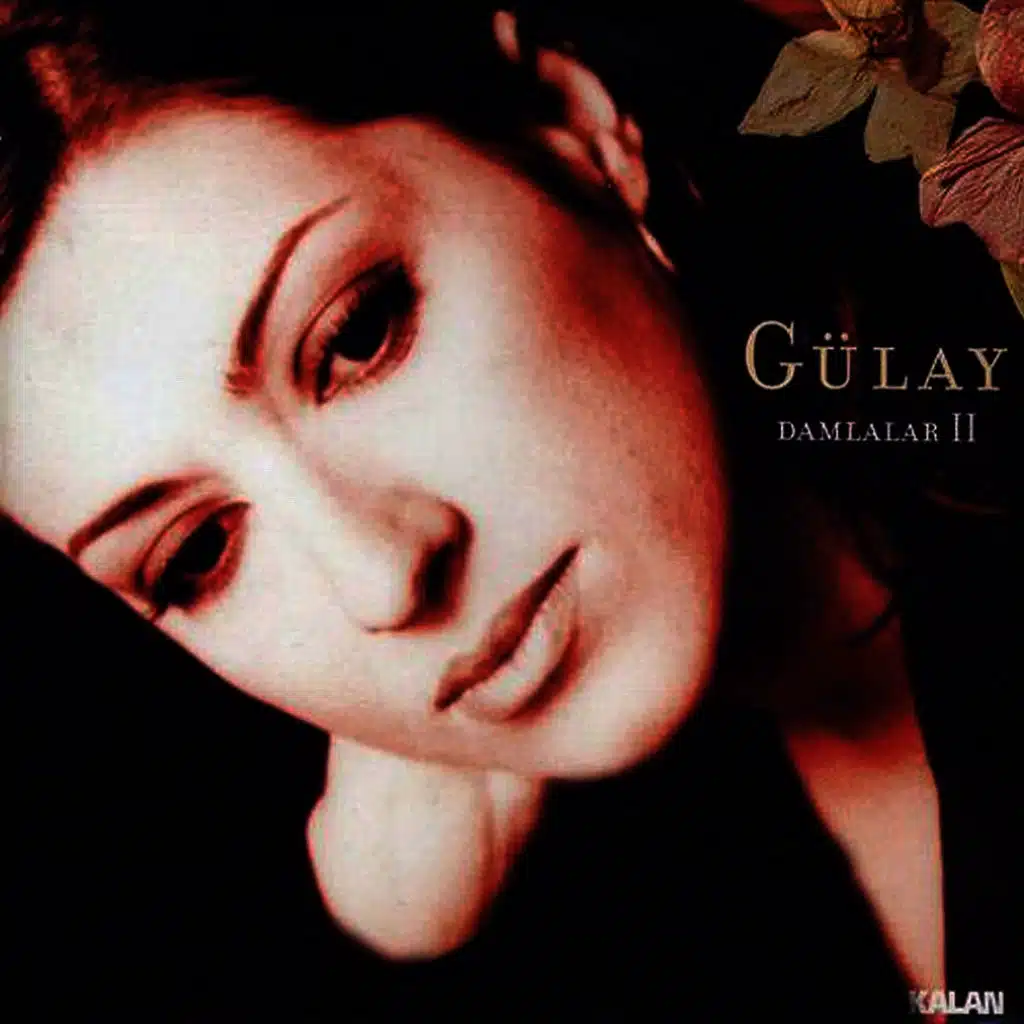 Kalanların Ardından