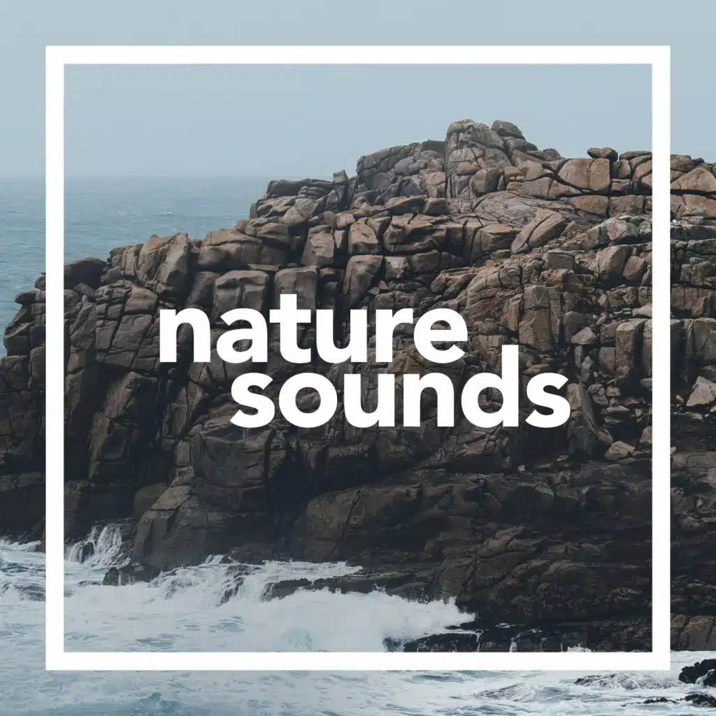 Nature Sounds