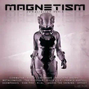 Magnetism Compilation, Vol. 2
