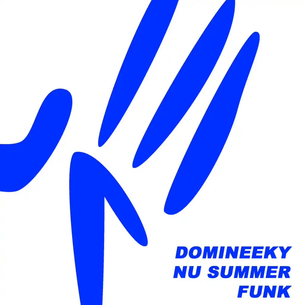 Nu Summer Funk