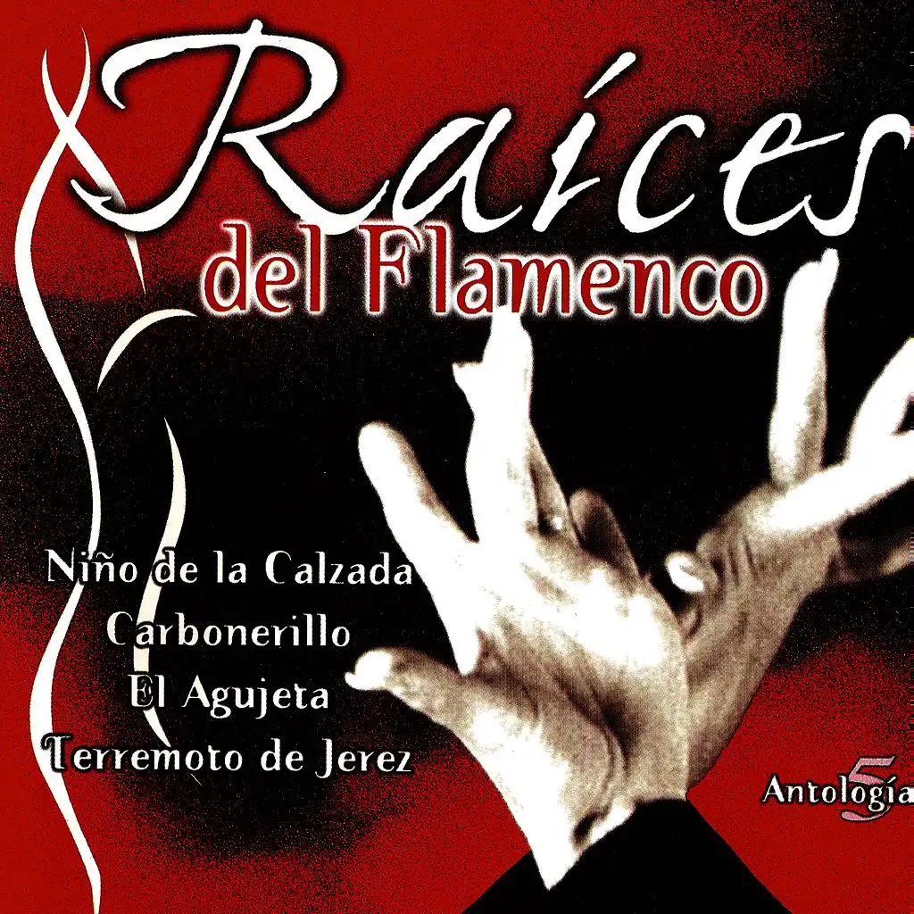 Raíces Del Flamenco (Antología 5)