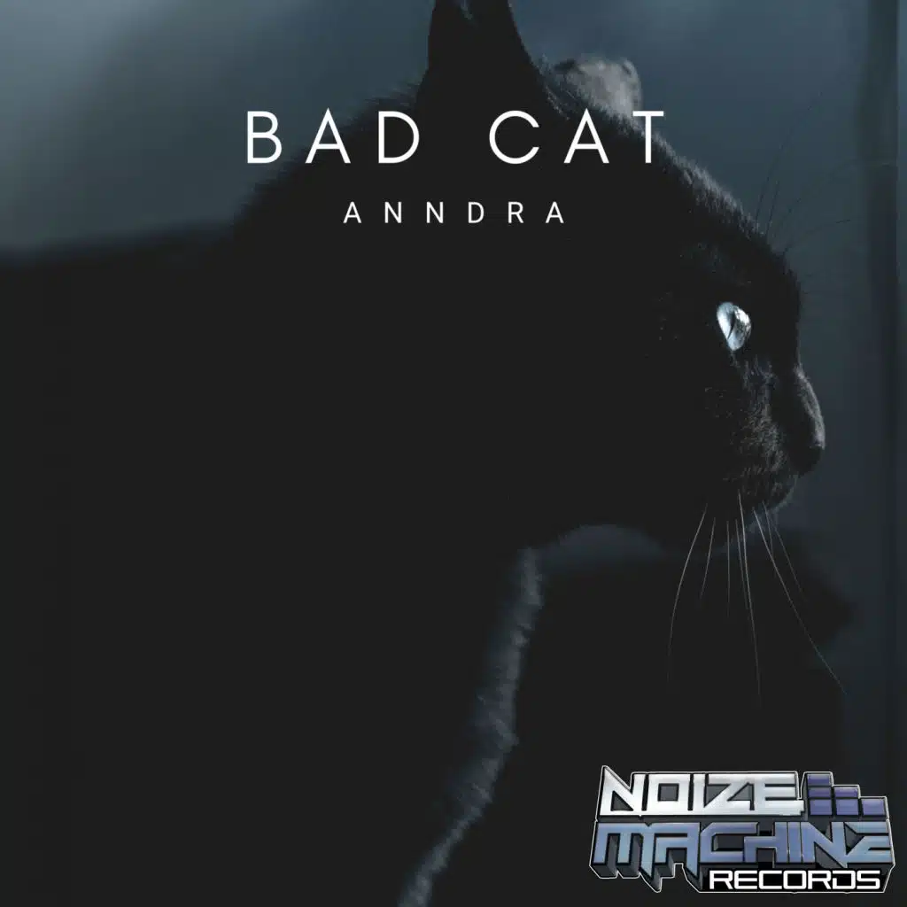 Bad Cat