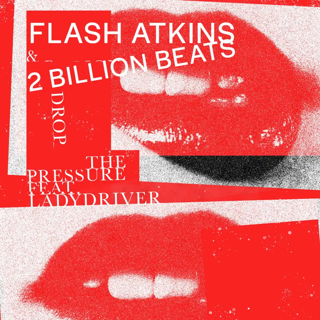 Flash Atkins & 2 Billion Beats feat. Ladydriver