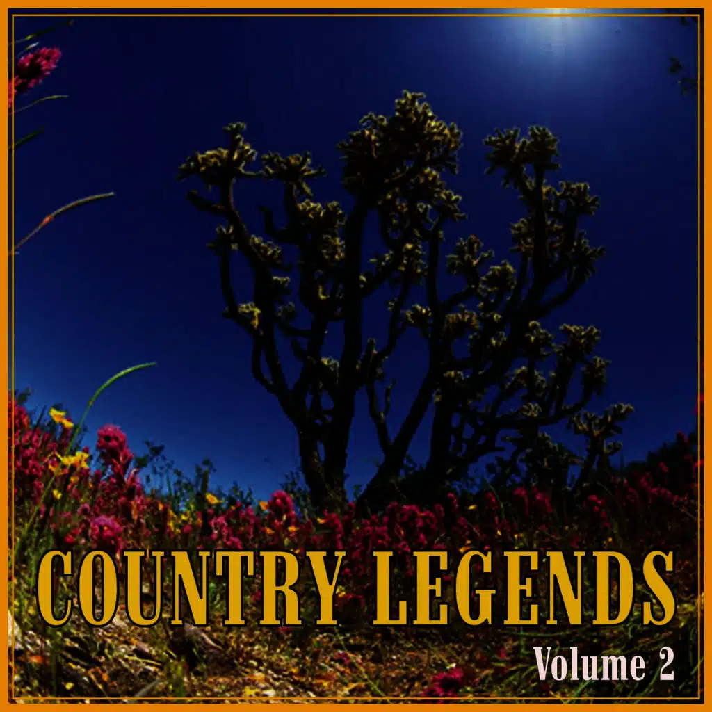 Country Legends, Vol. 2