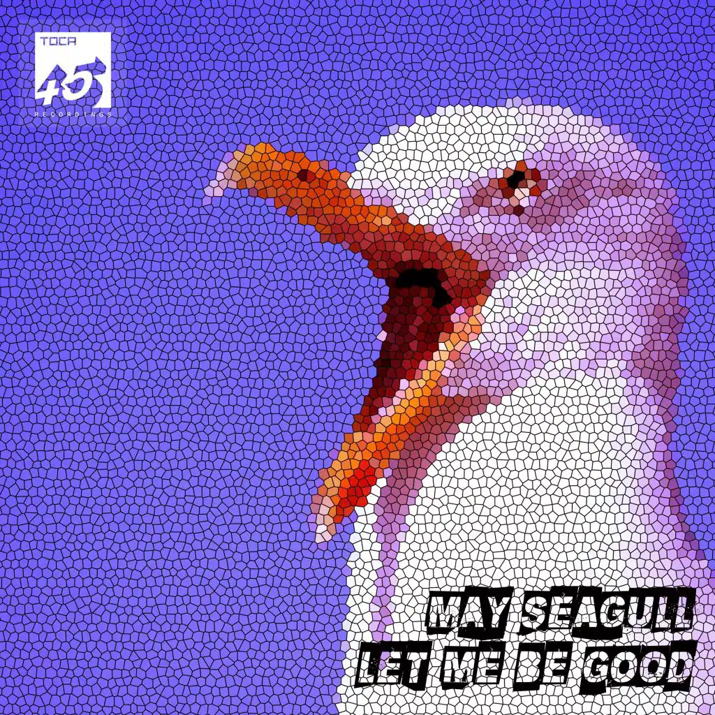 May Seagull