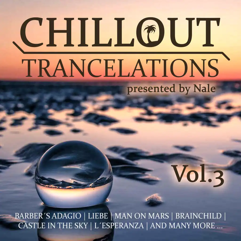 Dream of the Dolphin (Chillout Trancelations Version)