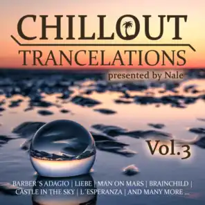 Castles in the Sky (Chillout Trancelations Version) [feat. Angel Falls]