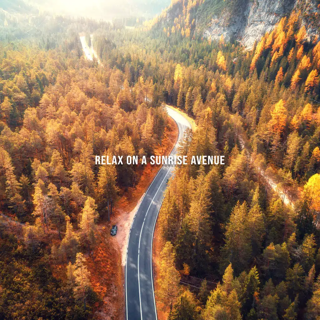 Relax on a Sunrise Avenue: 15 Deep Chillout 2019 Music, Total Relaxation Music, Positive Electronic Vibes, Relaxed Soul & Mind, Holiday 2019, Dreams about a Sunny Ibiza