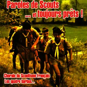 Va, scout de France !