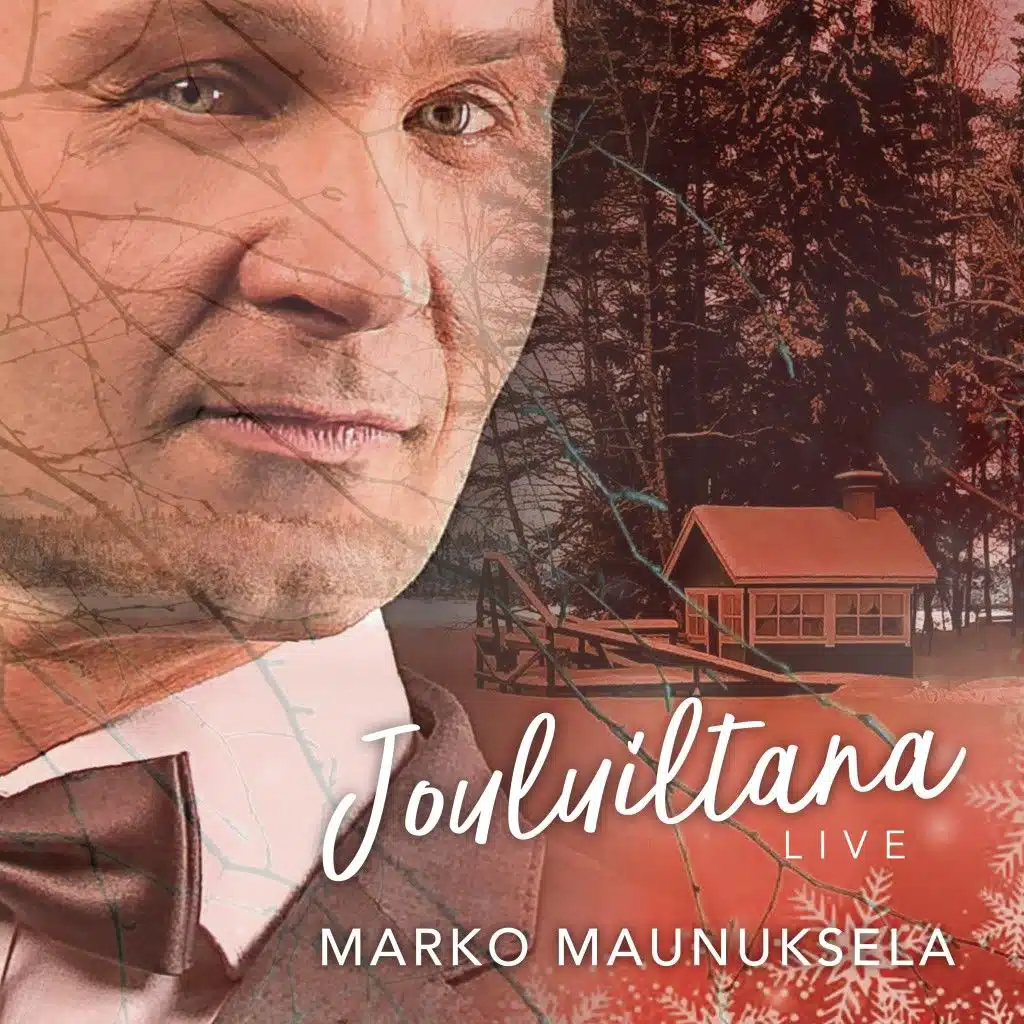 Sydämeeni joulun teen (Live)