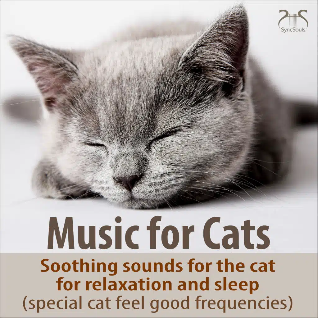 Cat Sleep Music: Safe in the Morning, Quiet Cello Melodies, Cat Purring, Church Bells, at Home Feeling