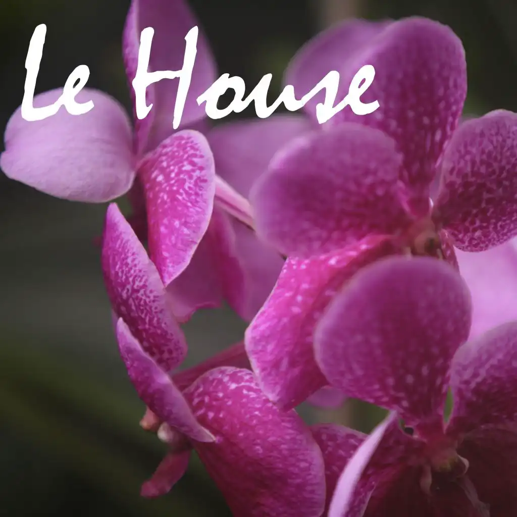 Le House