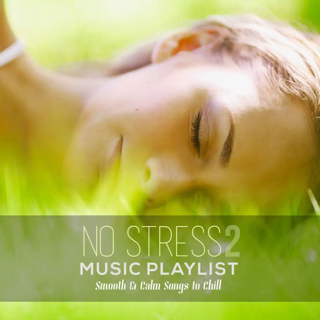 No Stress Music Playlist 2: Smooth & Calm Songs to Chill
