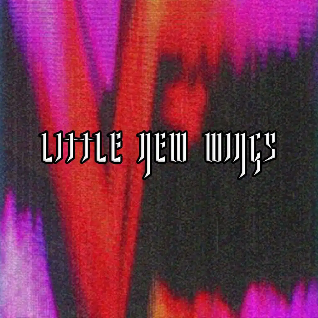 Little New Wings