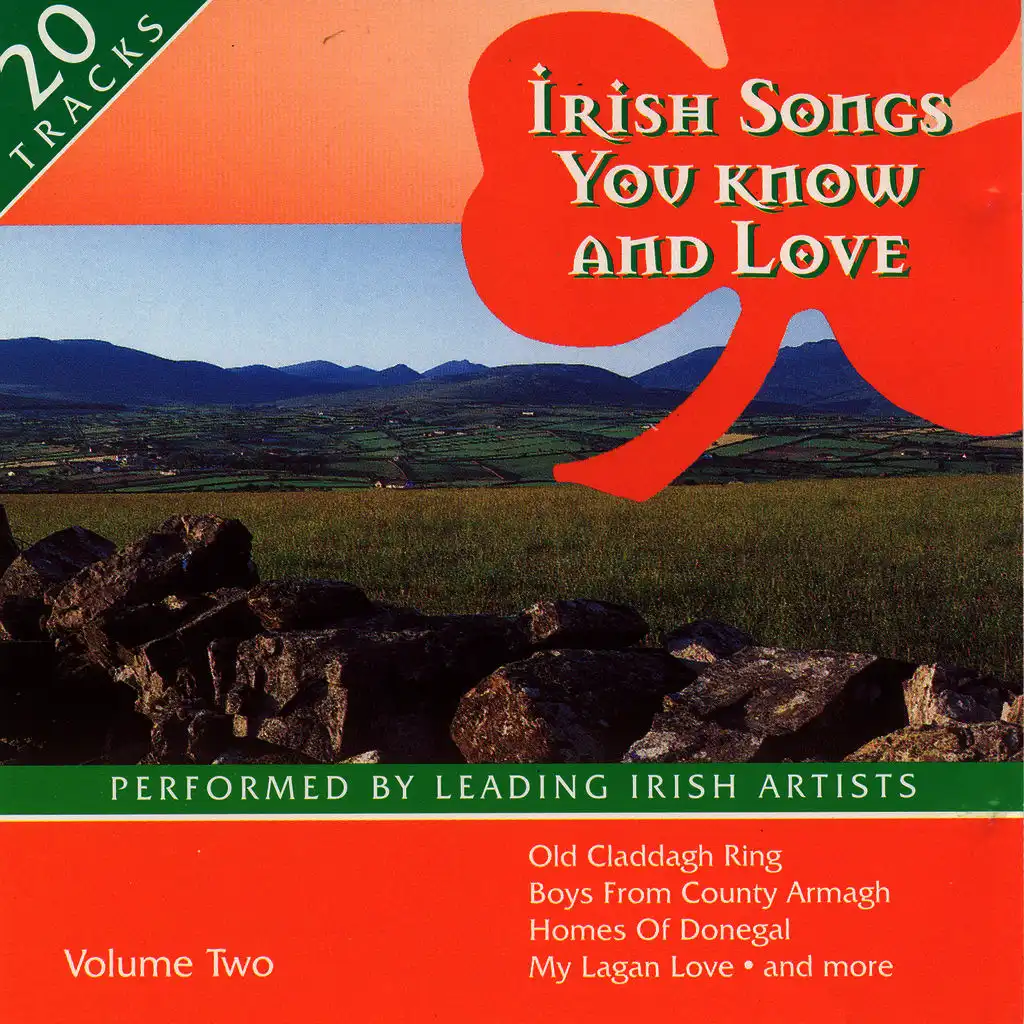 Irish Songs You Know And Love - Volume 2