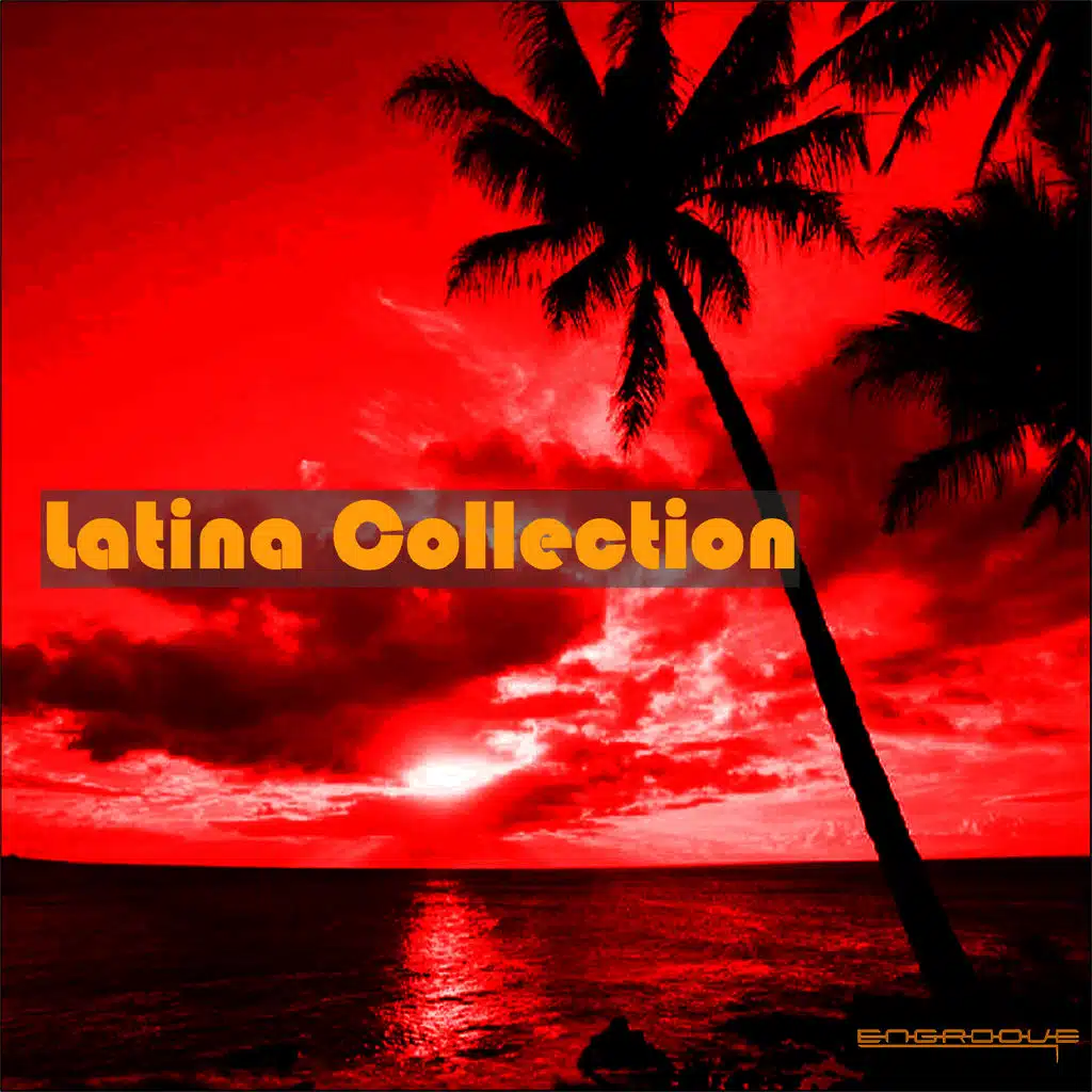 Latina Collection