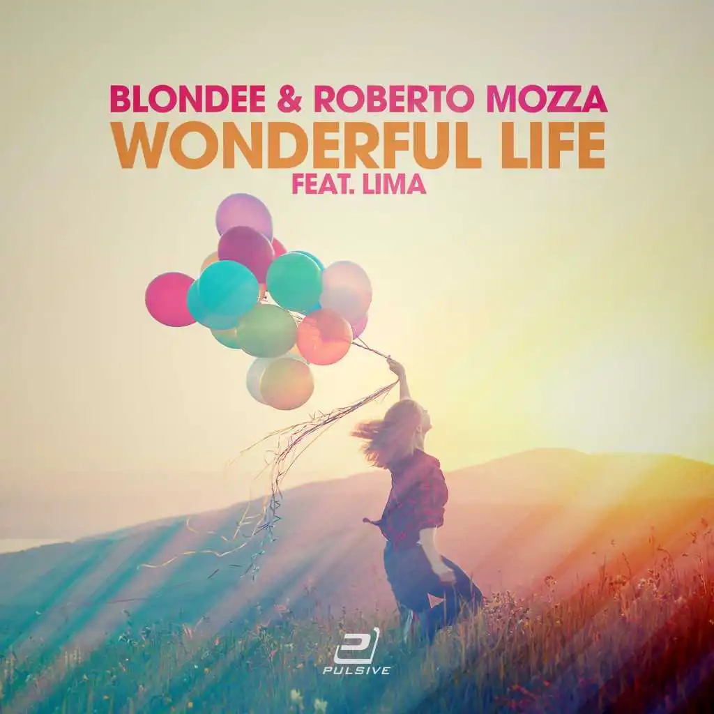 Wonderful Life (feat. LiMa)