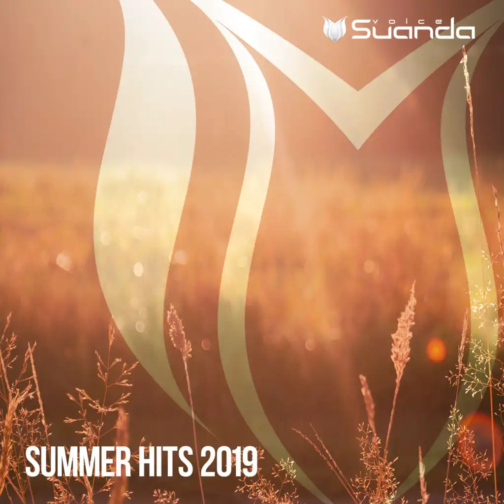 Summer Hits 2019