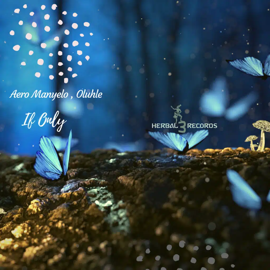 If Only (Da Capo Remix) [feat. Oluhle]