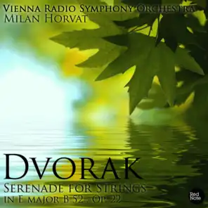 Serenade for Strings in E Major, Op.22, B 52: III. Scherzo: Vivace
